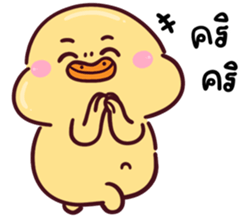 704399505