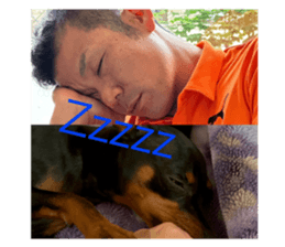 704403117