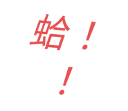 704405026