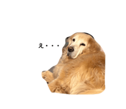 704406521