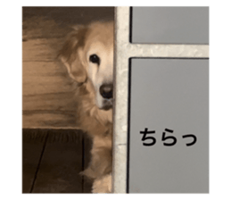 704406526