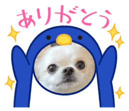 704407121