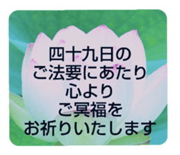 704408194