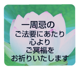 704408195