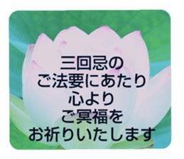 704408196