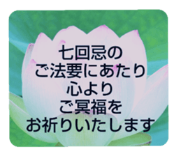 704408197