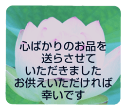 704408202