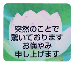 704408203