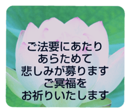 704408206