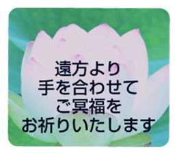 704408207