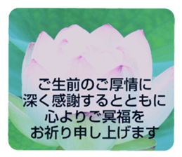 704408209