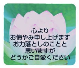 704408210