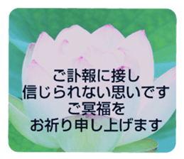 704408212