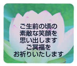 704408213