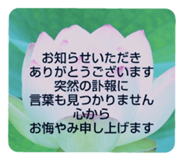 704408216
