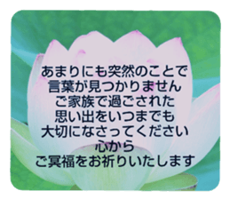 704408217