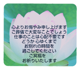 704408223