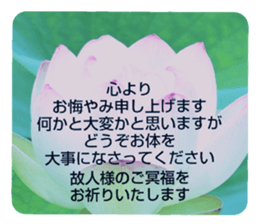 704408224