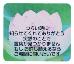 704408225