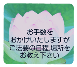 704408226