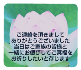 704408227