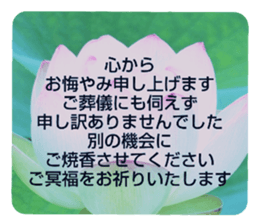 704408229