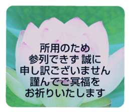 704408231