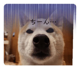 704409189
