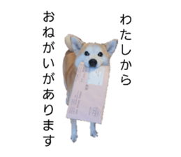 704409205