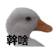 704410942