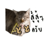 704444081