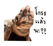 704444084