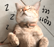 704444096