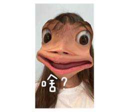 704508336