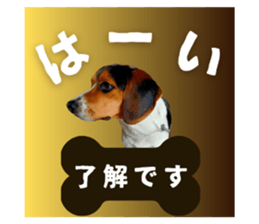 704542061