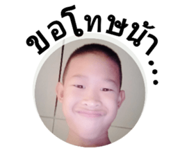 70454986