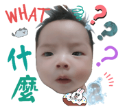 704556600