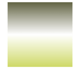 704559427