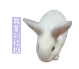 704563972