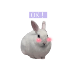 704563984