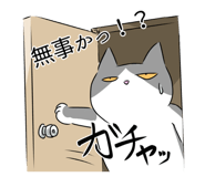 704572043