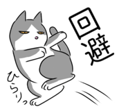 704572045