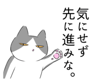 704572053
