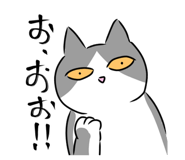 704572054