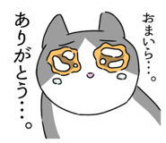 704572063