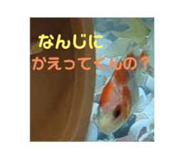 704584012