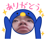 704584305