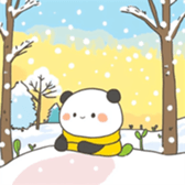 704649286