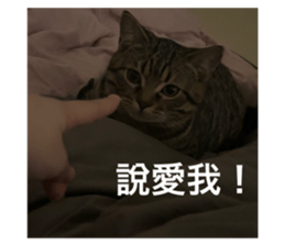 704651243