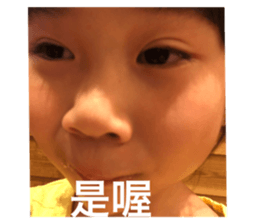 704654116